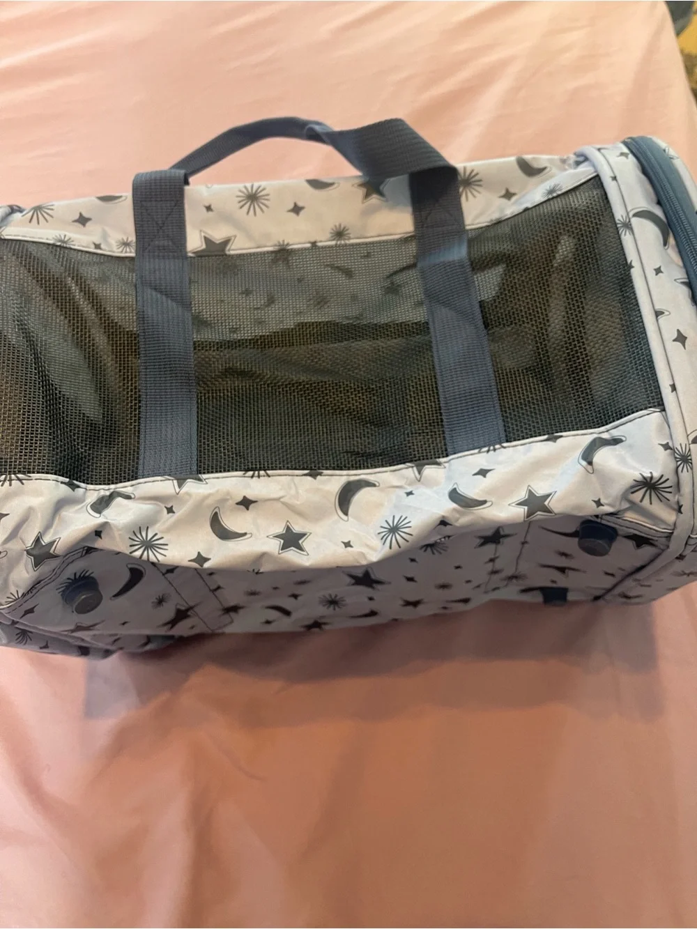Cat carrier